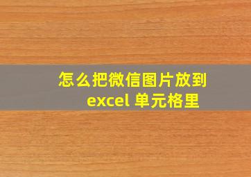 怎么把微信图片放到excel 单元格里